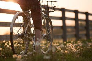 Going for a bike ride in the countryside